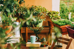 Cozy summer balcony with many potted plants, cup of tea and old vintage book
