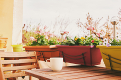 Colorful flowers growing in boxes hanging on balcony fence